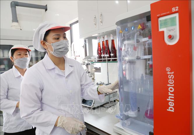 Công ty TNHH Quang Hải có phòng KCS với các trang thiết bị chuyên dùng kiểm tra việc tuân thủ quy trình công nghệ, kỹ thuật và chất lượng, đảm bảo đầu ra cho sản phẩm. Ảnh: Hoàng Hiếu – TTXVN