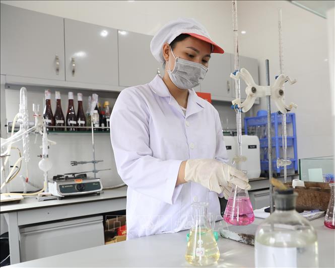 Nhân viên phòng KCS (Công ty TNHH Quang Hải) chuẩn bị H2C4 để đo nồng độ đạm của sản phẩm nước mắm. Ảnh: Hoàng Hiếu - TTXVN