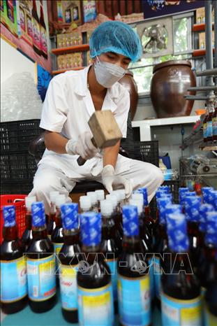 Công ty TNHH Thương mại và Dịch vụ mắm Hương Biển (đơn vị có 3 sản phẩm OCOP 4 sao, 3 sản phẩm 3 sao) mỗi năm sản xuất khoảng 120 nghìn lít nước mắm. Ảnh: Hoàng Hiếu – TTXVN
