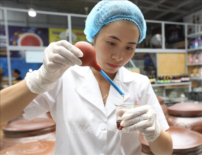 Kiểm tra chất lượng sản phẩm nước mắm OCOP tại Công ty TNHH Thương mại và Dịch vụ mắm Hương Biển. Ảnh: Hoàng Hiếu – TTXVN