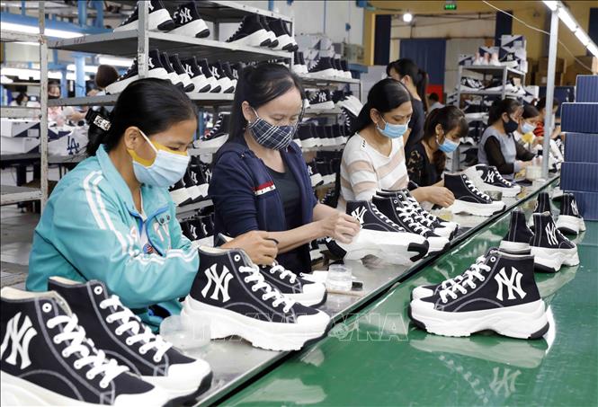 Kim ngạch xuất khẩu nhiều mặt hàng nông sản, như cà phê, gạo, hạt điều, rau quả, tôm, gỗ và sản phẩm từ gỗ... luôn duy trì ở mức cao. Ảnh: Trần Việt - TTXVN