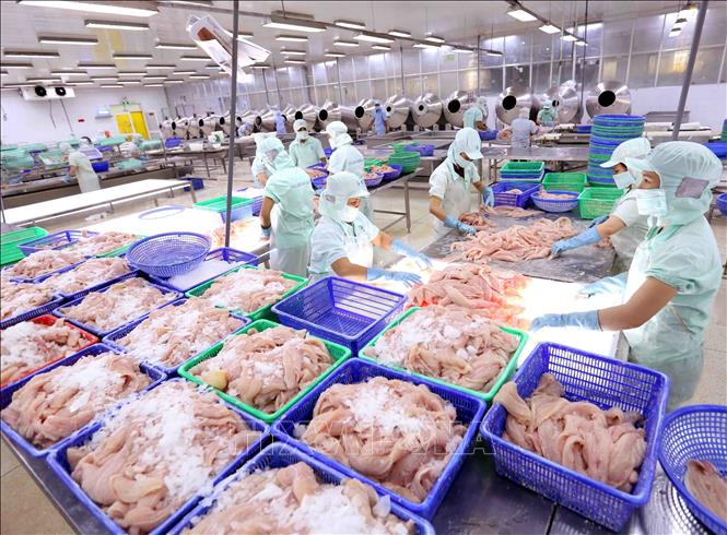 Từ nhóm nước thu nhập thấp, Việt Nam đã vươn lên xếp trong nhóm các nước đang phát triển có thu nhập trung bình. Ảnh: Vũ Sinh – TTXVN