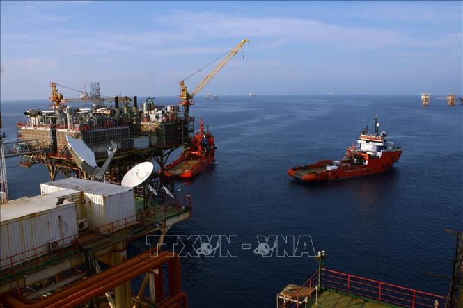 PetroVietnam's oil exploitation activities at the Bach Ho (White Tiger) oil field offshore the southern province of Ba Ria-Vung Tau. VNA Photo: Huy Hùng 