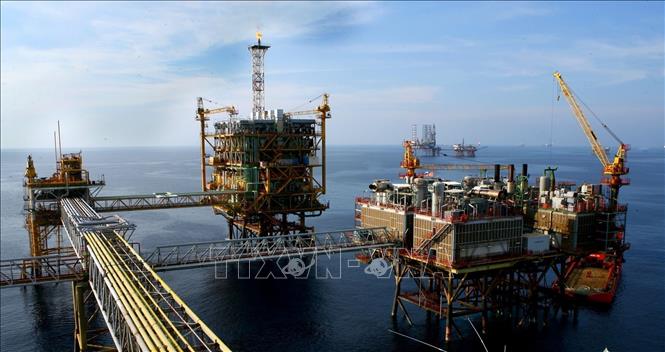PetroVietnam's oil rigs at the Bach Ho (White Tiger) oil field offshore the southern province of Ba Ria-Vung Tau. VNA Photo: Huy Hùng 
