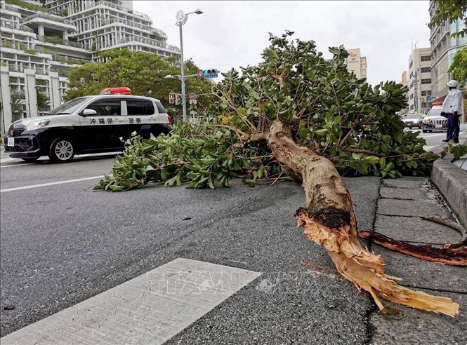 Siêu bão Hinnamnor đã để lại nhiều thiệt hại cho các địa phương bị ảnh hưởng. Xem ảnh liên quan