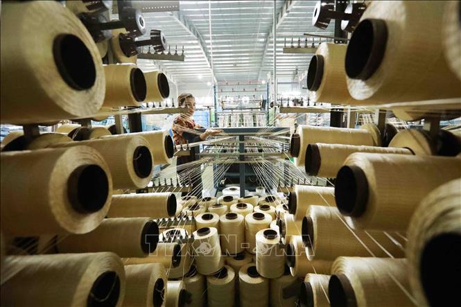 Dây chuyền dệt bao jumbo và bao sling phục vụ xuất khẩu tại nhà máy của Công ty Cổ phần bao bì Sông La Xanh. Ảnh: Vũ Sinh - TTXVN