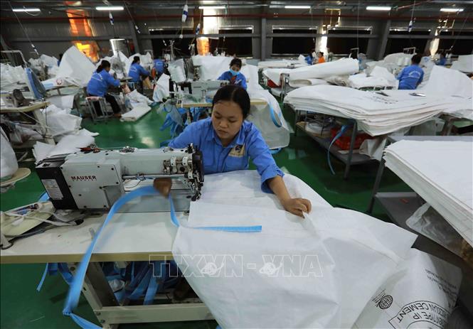 May bao jumbo phục vụ xuất khẩu tại nhà máy của Công ty Cổ phần bao bì Sông La Xanh. Ảnh: Vũ Sinh - TTXVN