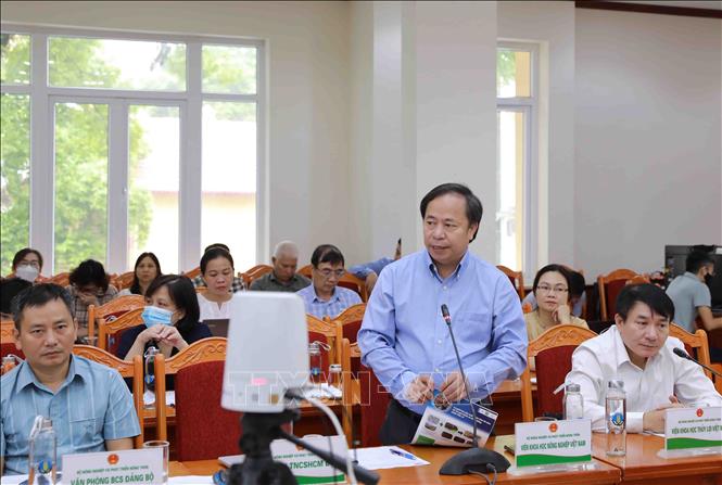 Viện trưởng Viện Khoa học Nông nghiệp Việt Nam Nguyễn Hồng Sơn (Bộ NN&PTNT) phát biểu tại Hội nghị. Ảnh: Vũ Sinh – TTXVN