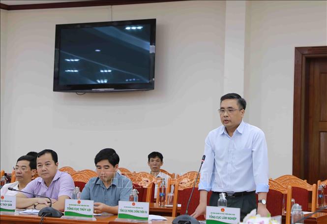 Tổng Cục trưởng Tổng Cục Lâm nghiệp (Bộ NN&PTNT) Nguyễn Quốc Trị phát biểu tại Hội nghị. Ảnh: Vũ Sinh – TTXVN