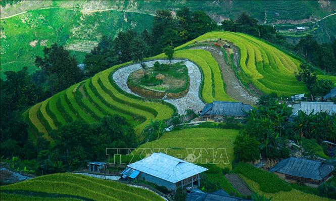 Rice terraced fields in Hoang Su Phi district, Ha Giang province. VNA Photo: Nguyễn Chiến