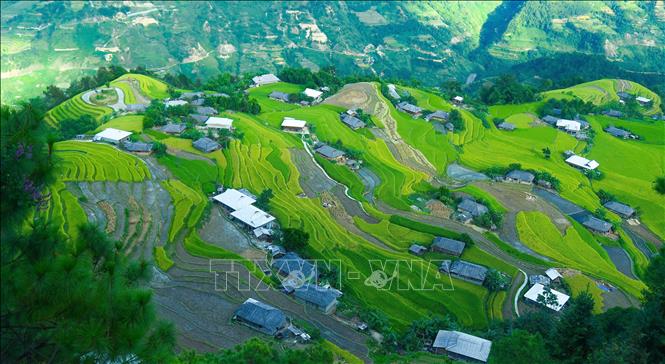Rice terraced fields in Hoang Su Phi district, Ha Giang province. VNA Photo: Nguyễn Chiến