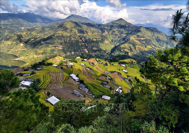 Rice terraced fields in Hoang Su Phi district, Ha Giang province. VNA Photo: Nguyễn Chiến