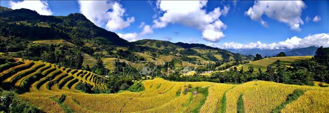 Rice terraced fields in Hoang Su Phi district, Ha Giang province. VNA Photo: Nguyễn Chiến