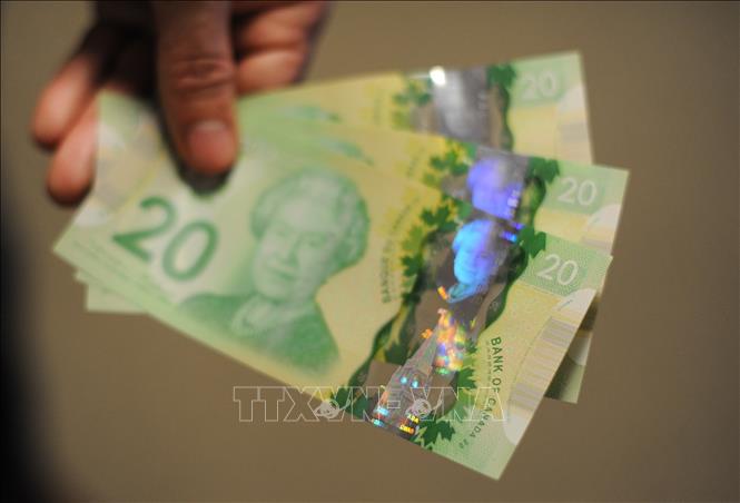Trong ảnh: Đồng tiền mệnh giá 20 đôla Canada. Ảnh: AFP/TTXVN