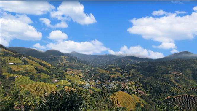Rice terraced fields in Hoang Su Phi district, Ha Giang province. VNA Photo: Nguyễn Chiến