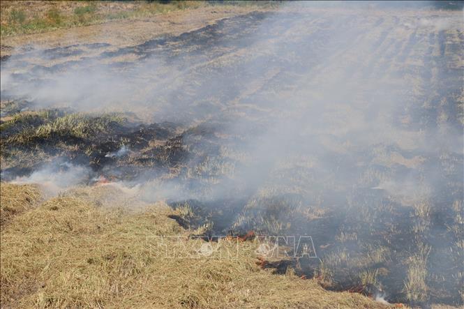 Trong ảnh: Bà con nông dân ở huyện Cao Lãnh đốt rơm rạ sau khi thu hoạch lúa Hè Thu 2022. Ảnh: Nguyễn Văn Trí – TTXVN