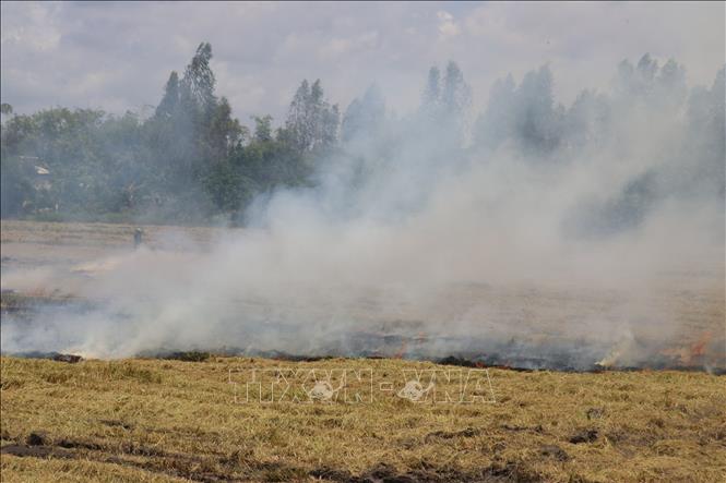 Trong ảnh: Bà con nông dân ở huyện Cao Lãnh đốt rơm rạ sau khi thu hoạch lúa Hè Thu 2022. Ảnh: Nguyễn Văn Trí – TTXVN