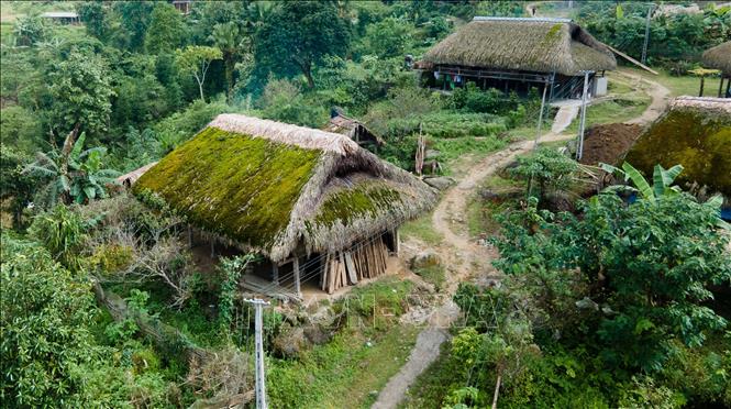 Trong ảnh: Những mái nhà lá cọ được rêu phủ quanh năm tại thôn Xà Phìn. Ảnh: Nam Thái - TTXVN