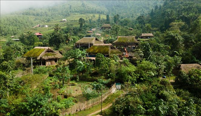Trong ảnh: Những mái nhà lá cọ được rêu phủ quanh năm tại thôn Xà Phìn. Ảnh: Nam Thái - TTXVN