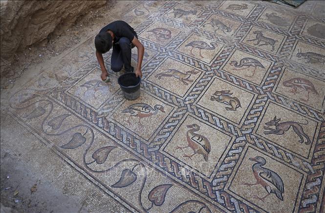 Phát hiện sàn nhà cổ trang trí tranh khảm quý hiếm tại Gaza - Ảnh thời sự quốc tế - Văn hóa xã hội - Thông tấn xã Việt Nam (TTXVN)