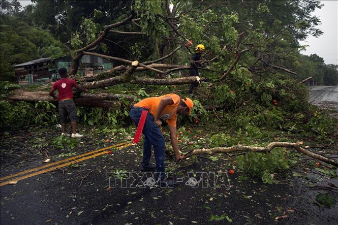 Trong ảnh: Lính cứu hỏa và lực lượng dân phòng dọn dẹp cây đổ trên cao tốc nối hai tỉnh Maria Trinidad Sanchez và Samana của CH Dominicana do ảnh hưởng của bão Fiona ngày 19/9/2022. Ảnh: AFP/TTXVN