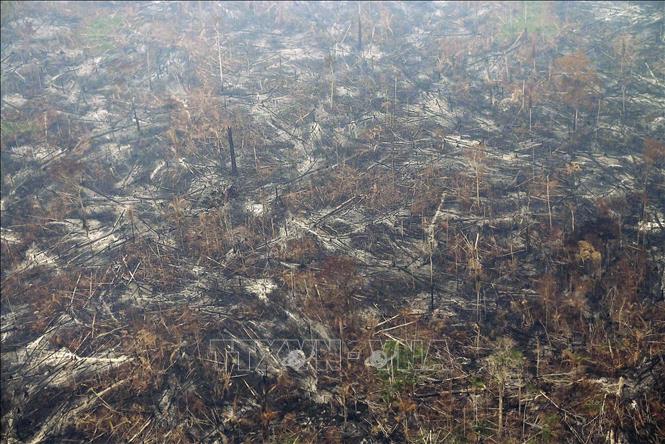 Trong ảnh: Một khoảng rừng Amazon ở bang Amazonas, Brazil bị cháy rụi ngày 2/9/2022. Ảnh: AFP/TTXVN