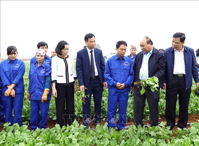 Thủ tướng Nguyễn Xuân Phúc đến thăm và dự Lễ xuất những chuyến hàng rau quả đầu tiên sang Nhật Bản năm 2019 của Công ty Cổ phần thực phẩm xuất khẩu Đồng Giao (2019). Ảnh: Thống Nhất – TTXVN