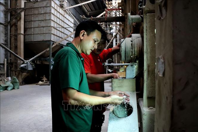 Checking the quality of rice for export at the Co Do Agriculture Co. Ltd. in the Mekong Delta city of Can Tho. VNA Photo: Thu Hiền