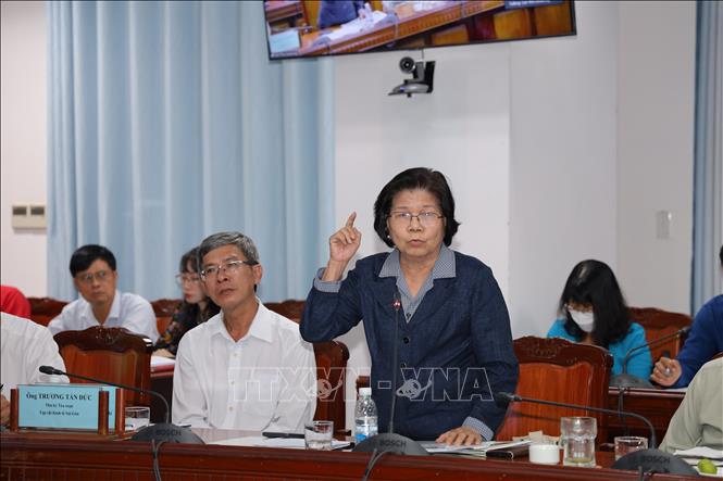 Bà Vũ Kim Hạnh, Chuyên gia kinh tế phát biểu tại Hội thảo. Ảnh: Ánh Tuyết - TTXVN