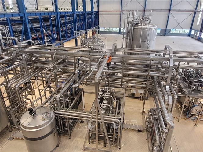 Dây chuyền tự động của Nhà máy bia Heineken Việt Nam - Vũng Tàu được vận hành 100% bằng năng lượng tái tạo. Ảnh: Hoàng Nhị - TTXVN