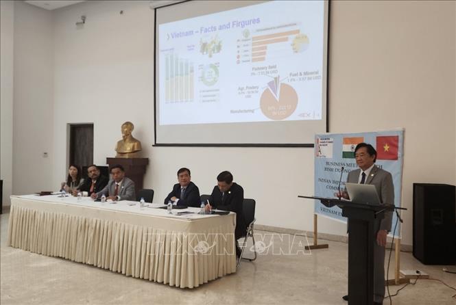 Phó Bí thư Thường trực tỉnh Bình Dương Nguyễn Hoàng Thao phát biểu tại cuộc trao đổi, xúc tiến đầu tư với Phòng Thương mại và Công nghiệp các nhà nhập khẩu Ấn Độ (IICCI). Ngọc Thúy - P/v TTXVN tại Ấn Độ