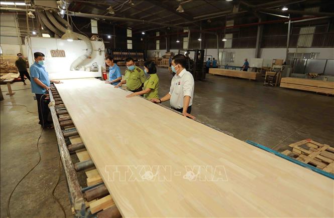 Sản phẩm gỗ cao su ghép thanh xuất khẩu của Công ty TNHH gỗ Nam Mỹ. Ảnh: Vũ Sinh - TTXVN