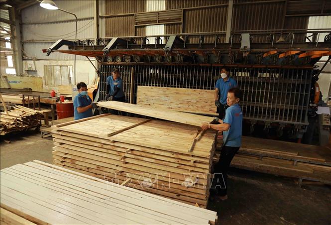 Sản phẩm gỗ cao su ghép thanh tại nhà máy của Công ty TNHH gỗ Nam Mỹ. Ảnh: Vũ Sinh - TTXVN