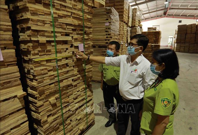 Cán bộ Chi Cục Kiểm lâm (Sở Nông nghiệp và Phát triển nông thôn tỉnh Bình Dương) kiểm tra gỗ nguyên liệu tại kho của Công ty TNHH gỗ Nam Mỹ. Ảnh: Vũ Sinh - TTXVN