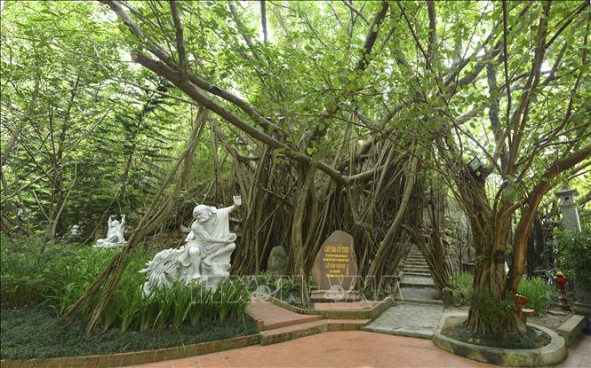 Trong ảnh: Đường đi trong khuôn viên với hàng cây xanh mát. Ảnh: Minh Đức - TTXVN

