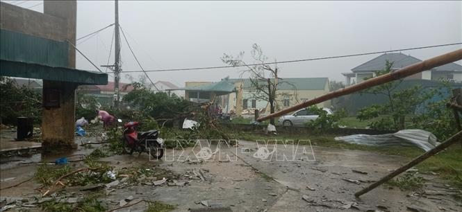 Cây cối bị gãy đổ sau trận lốc xoáy. Ảnh: Thanh Thủy-TTXVN