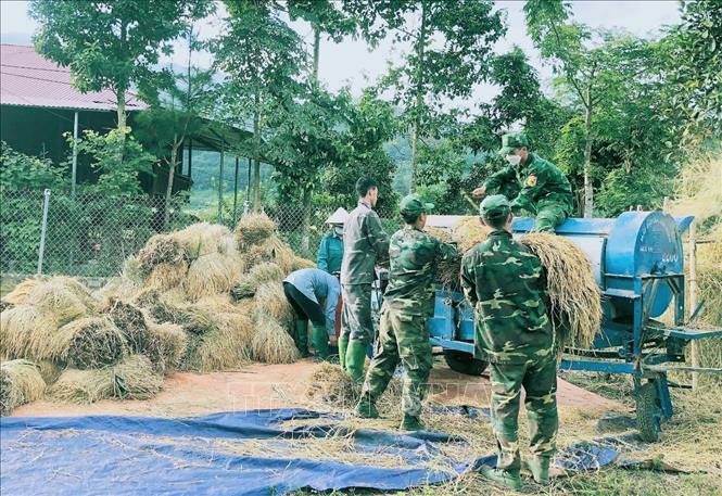 Trong ảnh: Lực lượng bộ đội biên phòng Đồn biên phòng Mường Mươn giúp dân vận chuyển lúa về bản và tuốt lúa. Ảnh: TTXVN phát 
