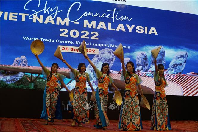 Người Việt tại Malaysia biểu diễn bài múa 