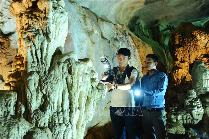 Động hấp dẫn du khách bởi những thạch nhũ tự nhiên với nhiều hình thù độc đáo. Ảnh: Minh Đức – TTXVN