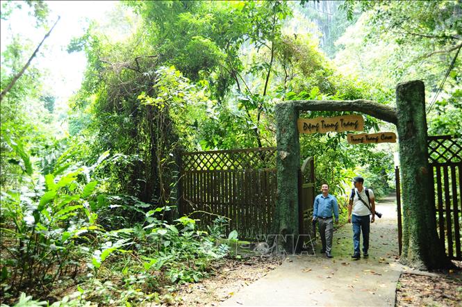 Động Trung Trang hàng năm thu hút nhiều chục nghìn lượt khách trong nước và quốc tế đến thăm quan. Ảnh: Minh Đức - TTXVN


