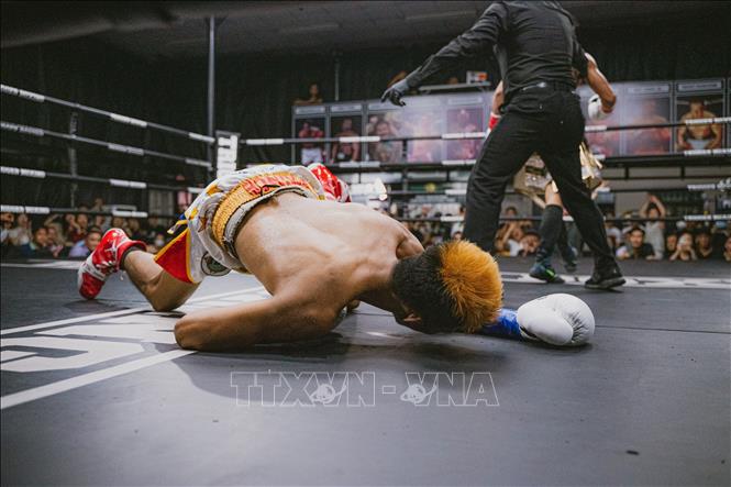 Khoảnh khắc võ sĩ Prince Andrew Lario (Philippines) bị hạ knockout. Ảnh: Phạm Tuấn Anh - TTXVN 