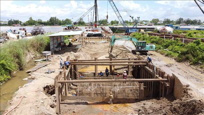 Thi công phần trụ móng cầu Châu Đốc thuộc địa bàn thị xã Tân Châu, thành phố Châu Đốc. Ảnh: Vũ Sinh - TTXVN