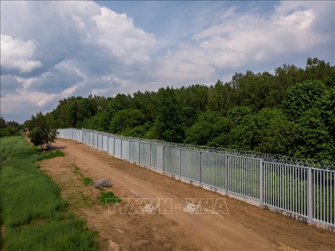 Trong ảnh: Hàng rào biên giới Ba Lan- Belarus gần làng Tolcze, đông bắc Ba Lan, ngày 8/6/2022. Ảnh: AFP/TTXVN