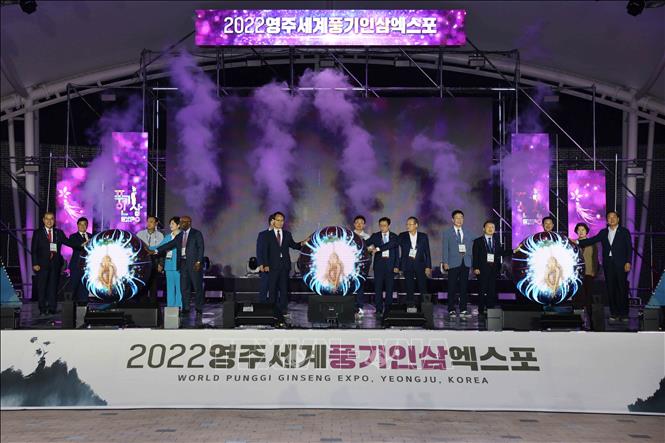 Các đại biểu và quan khách quốc tế tham gia nghi lễ khai mạc Triển lãm Nhân sâm Punggi Thế giới 2022. Ảnh: Anh Nguyên, PV TTXVN tại Hàn Quốc.