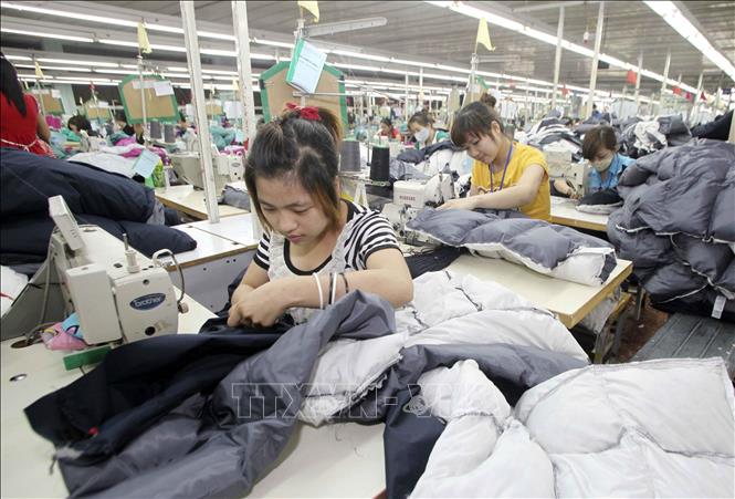 Making products for export at the Bac Giang Garment JSC in the northern province of Bac Giang. VNA Photo: Trần Việt 