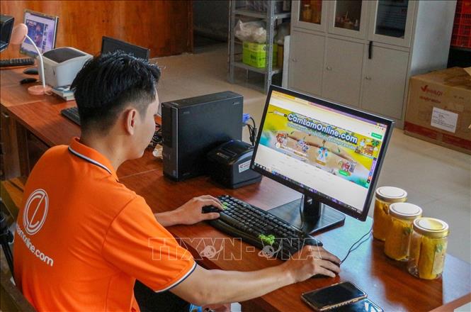 Trong ảnh: Anh Nguyễn Thanh Phong (IT & founder CamLamOnline) kiểm tra đơn hàng đặc sản Cam Lâm qua hệ thống web của nhóm và các trang thương mại điện tử. Ảnh: TTXVN phát