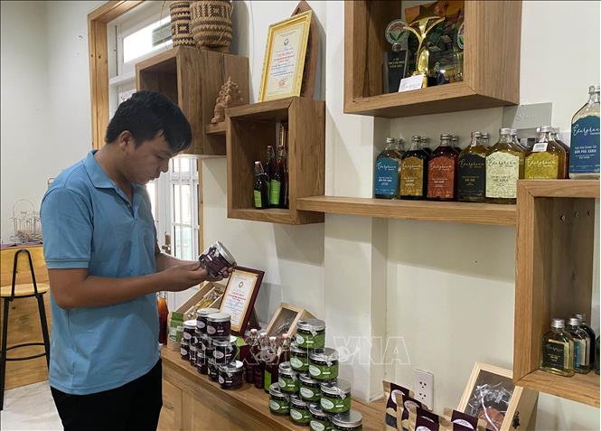 Trong ảnh: Các sản phẩm chế biến từ nho của Hợp tác xã Nho Evergreen Ninh Thuận. Ảnh: Công Thử - TTXVN