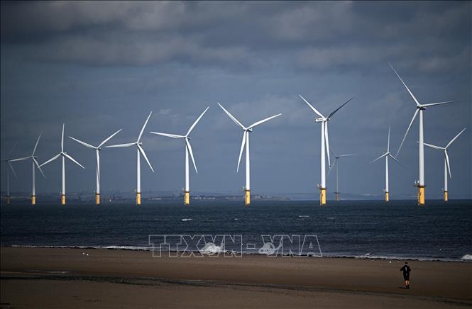 Trong ảnh: Các tuabin gió thuộc Trang trại gió Teesside của Công ty EDF Energy Renewables ở ngoài khơi bờ biển Redcar, Anh ngày 7/9/2022. Ảnh: AFP/TTXVN