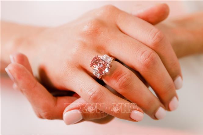 Trong ảnh: Viên kim cương hồng Williamson Pink Star được trưng bày tại nhà đấu giá Sotheby's. Ảnh: AFP/ TTXVN