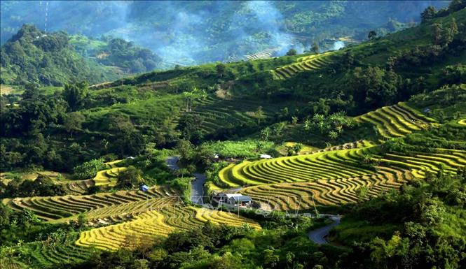 Đan xen giữa núi rừng đại ngàn của Tây Bắc hiện lên những thửa ruộng bậc thang gợn sóng uốn lượn lung linh trong nắng thu nhìn như một bức tranh. Ảnh: Quý Trung – TTXVN